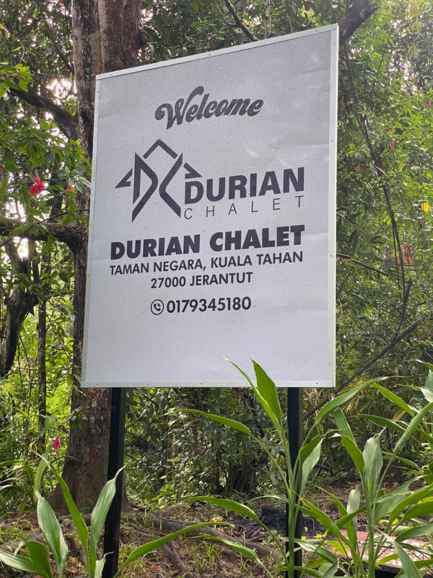 Durian Chalet Kuala Tahan Exterior foto